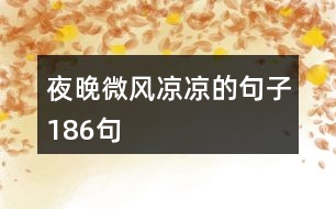 夜晚微風(fēng)涼涼的句子186句