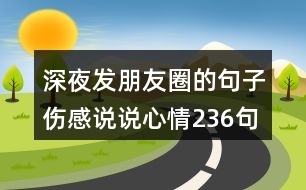 深夜發(fā)朋友圈的句子傷感說(shuō)說(shuō)心情236句