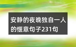 安靜的夜晚獨(dú)自一人的愜意句子231句