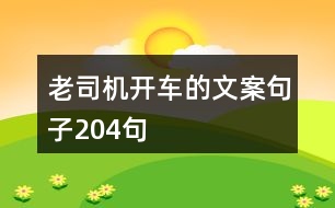 老司機(jī)開車的文案句子204句