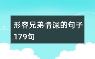 形容兄弟情深的句子179句