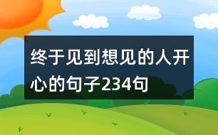 終于見(jiàn)到想見(jiàn)的人開(kāi)心的句子234句