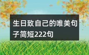 生日致自己的唯美句子簡短222句