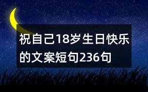 祝自己18歲生日快樂的文案短句236句