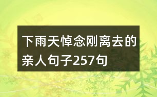 下雨天悼念剛離去的親人句子257句