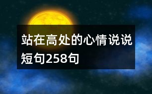 站在高處的心情說(shuō)說(shuō)短句258句