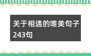 關(guān)于相遇的唯美句子243句