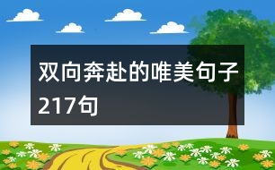 雙向奔赴的唯美句子217句