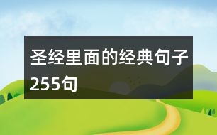 圣經(jīng)里面的經(jīng)典句子255句