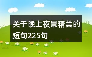 關(guān)于晚上夜景精美的短句225句