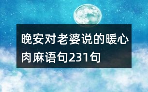 晚安對老婆說的暖心肉麻語句231句