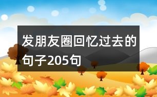 發(fā)朋友圈回憶過去的句子205句