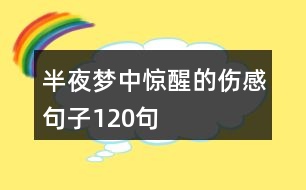 半夜夢(mèng)中驚醒的傷感句子120句