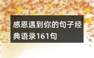 感恩遇到你的句子經(jīng)典語錄161句