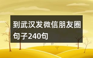 到武漢發(fā)微信朋友圈句子240句