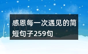 感恩每一次遇見的簡短句子259句