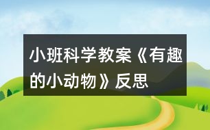 小班科學(xué)教案《有趣的小動物》反思