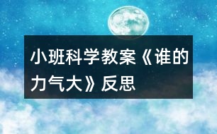 小班科學教案《誰的力氣大》反思