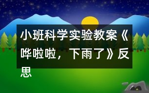 小班科學(xué)實(shí)驗(yàn)教案《嘩啦啦，下雨了》反思