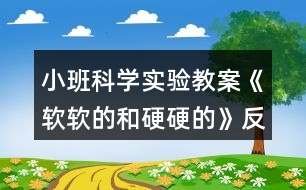 小班科學(xué)實(shí)驗(yàn)教案《軟軟的和硬硬的》反思