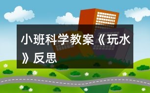 小班科學教案《玩水》反思