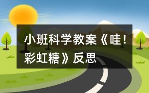 小班科學(xué)教案《哇！彩虹糖》反思