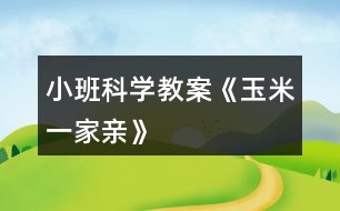 小班科學(xué)教案《玉米一家親》