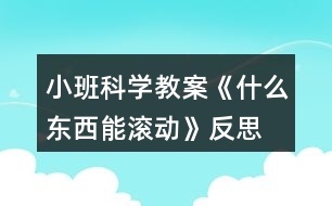 小班科學教案《什么東西能滾動》反思