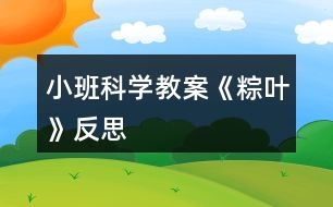 小班科學(xué)教案《粽葉》反思