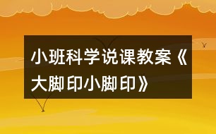 小班科學(xué)說課教案《大腳印、小腳印》