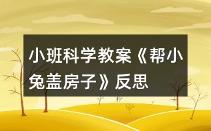 小班科學(xué)教案《幫小兔蓋房子》反思