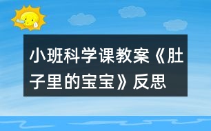 小班科學(xué)課教案《肚子里的寶寶》反思