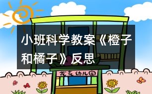 小班科學教案《橙子和橘子》反思