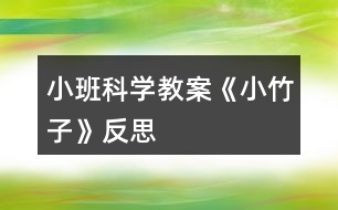 小班科學(xué)教案《小竹子》反思