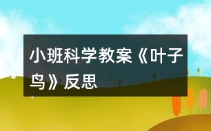 小班科學(xué)教案《葉子鳥(niǎo)》反思