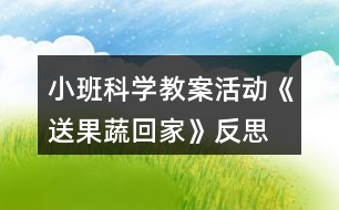 小班科學(xué)教案活動《送果蔬回家》反思