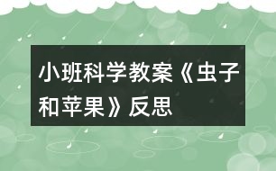 小班科學(xué)教案《蟲(chóng)子和蘋果》反思