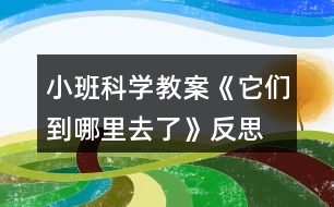 小班科學(xué)教案《它們到哪里去了》反思