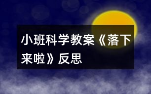 小班科學(xué)教案《落下來(lái)啦》反思