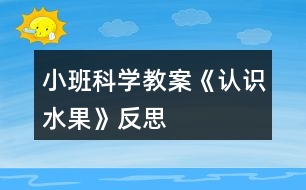 小班科學(xué)教案《認(rèn)識水果》反思