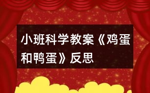 小班科學(xué)教案《雞蛋和鴨蛋》反思