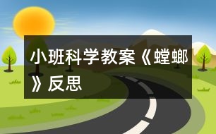 小班科學(xué)教案《螳螂》反思