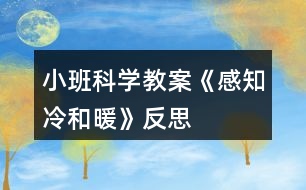 小班科學(xué)教案《感知冷和暖》反思