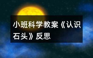 小班科學(xué)教案《認識石頭》反思