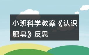 小班科學教案《認識肥皂》反思