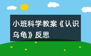 小班科學(xué)教案《認識烏龜》反思