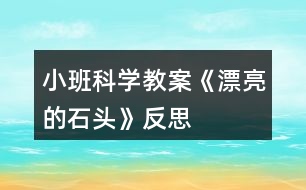 小班科學教案《漂亮的石頭》反思