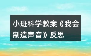 小班科學教案《我會制造聲音》反思