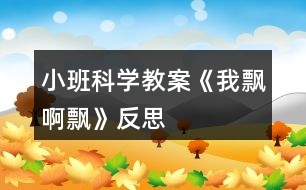 小班科學教案《我飄啊飄》反思