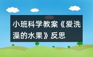 小班科學教案《愛洗澡的水果》反思